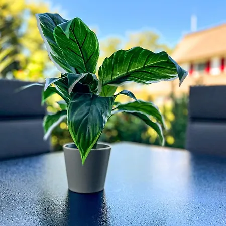 Сasa de vacaciones Reethaus Am Mariannenweg 19b Boltenhagen (Ostseebad)