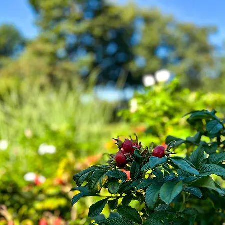 Reethaus Am Mariannenweg 19b *