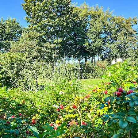 Holiday home Reethaus Am Mariannenweg 19b *